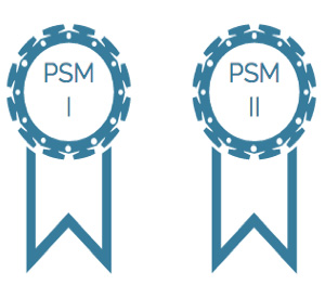 PSM I en PSM II