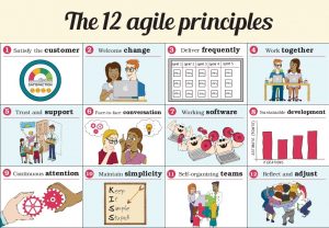 Agile principles